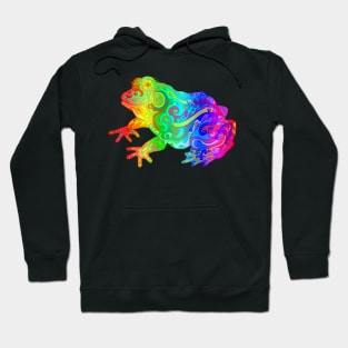 Rainbow Swirly Frog Hoodie